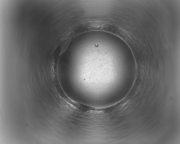 X0000070431394200606161452