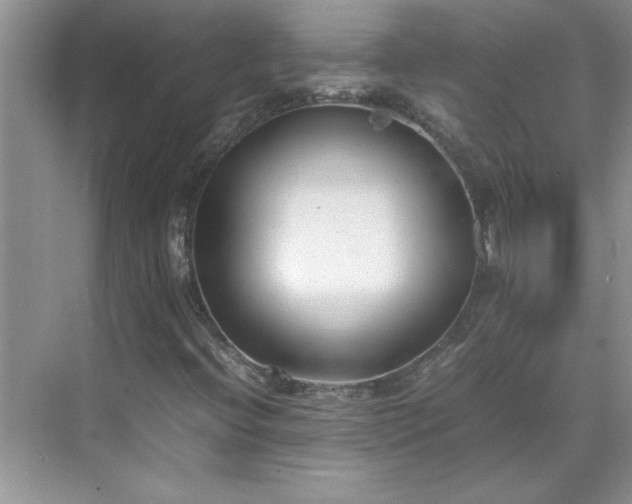 X0000070431396200606161452