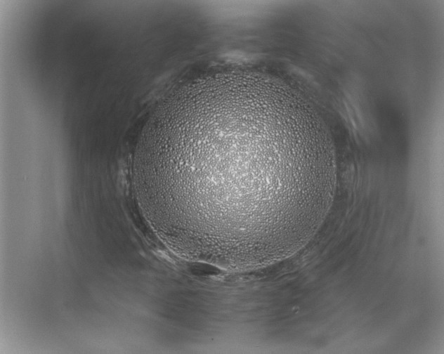 X0000070431397200606161452