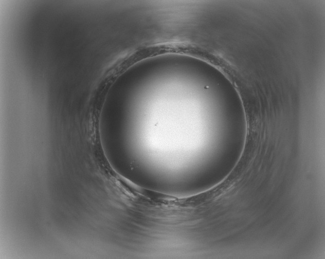 X0000070431398200606161452