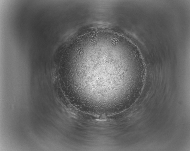 X0000070431399200606161452