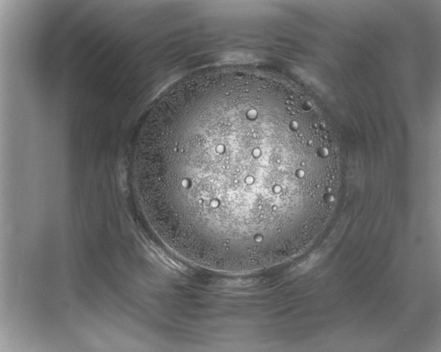 X0000070431401200606161452