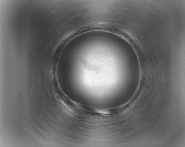 X0000070431402200606161452