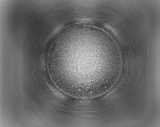 X0000070431403200606161452