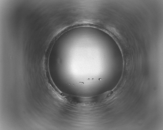 X0000070431404200606161452