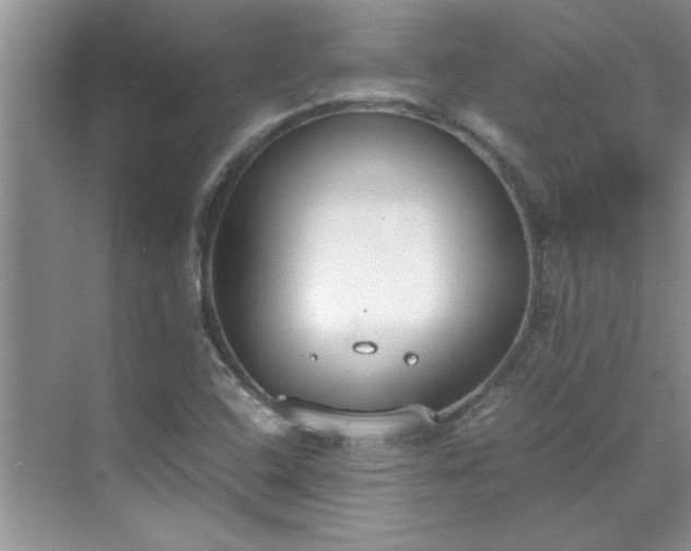 X0000070431408200606161452