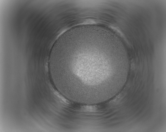 X0000070431409200606161452