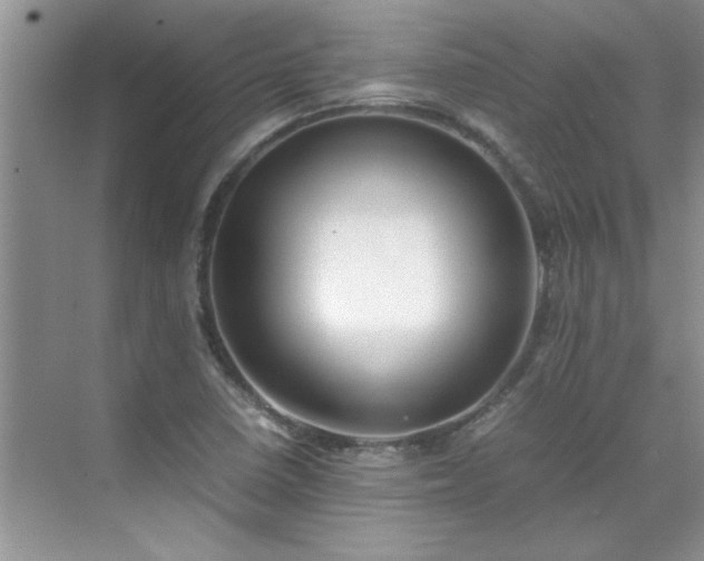 X0000070431410200606161452