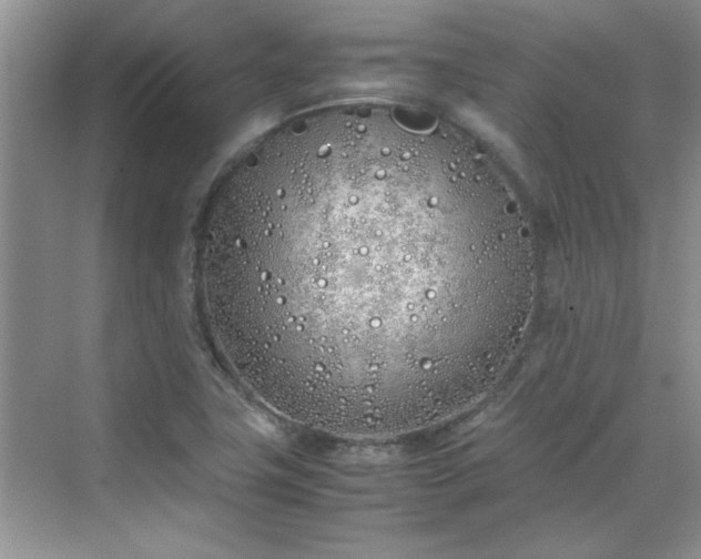 X0000070431411200606161452