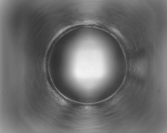 X0000070431412200606161452