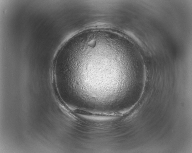 X0000070431413200606161452