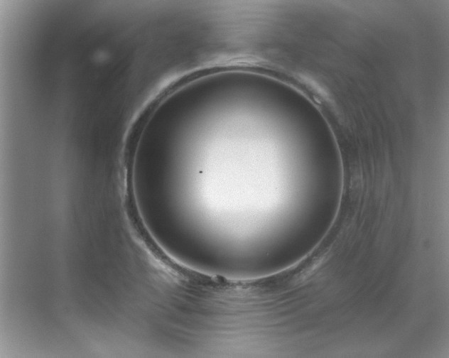 X0000070431414200606161452