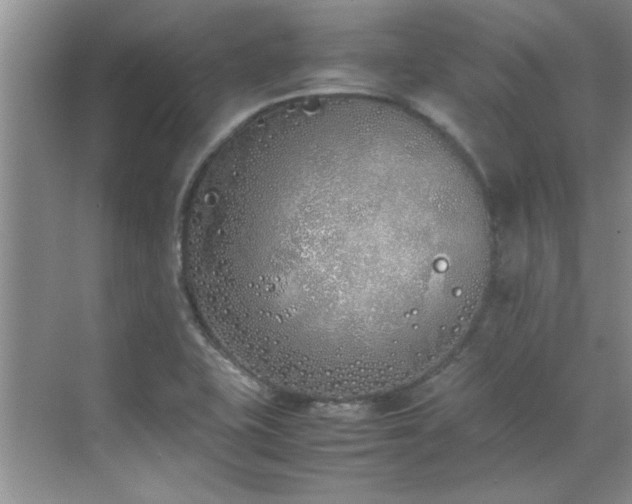 X0000070431415200606161452