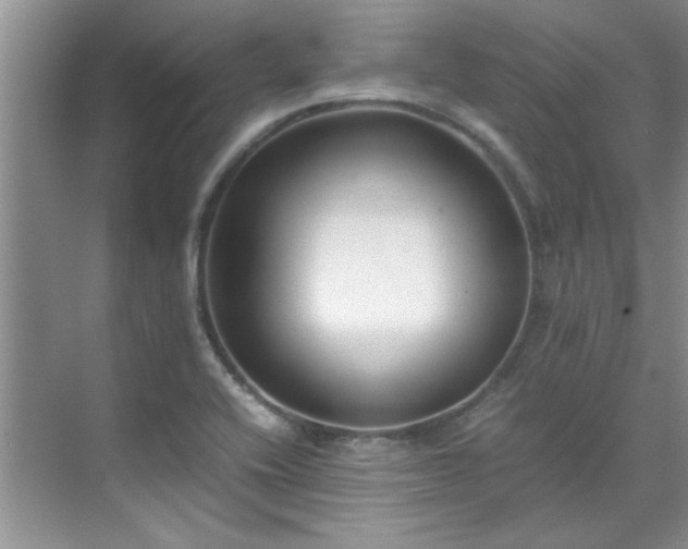 X0000070431416200606161452