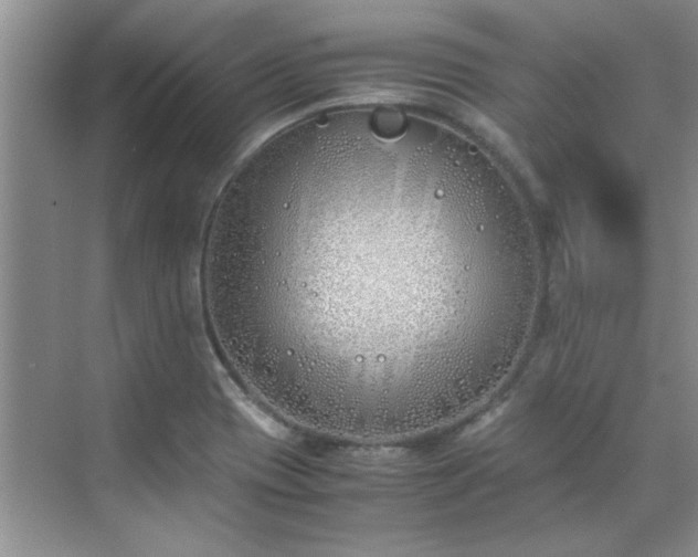 X0000070431417200606161452