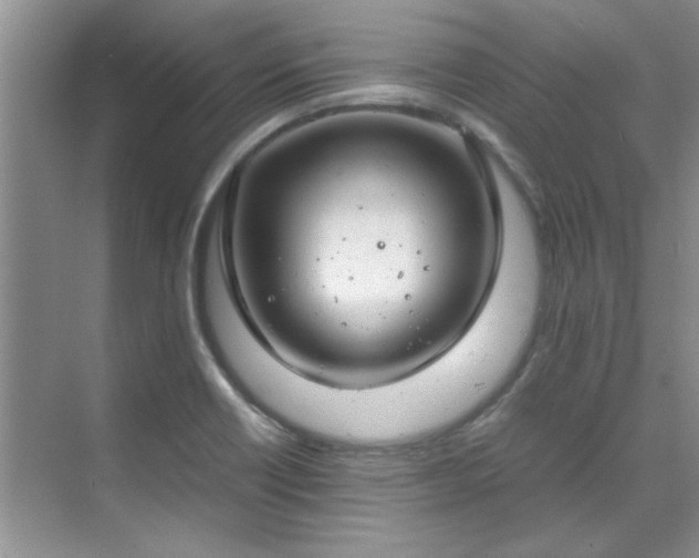 X0000070431418200606161452