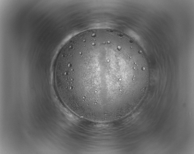 X0000070431419200606161452