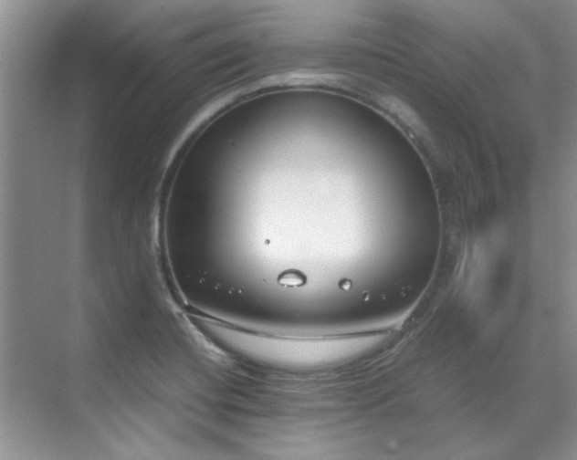 X0000070431420200606161452