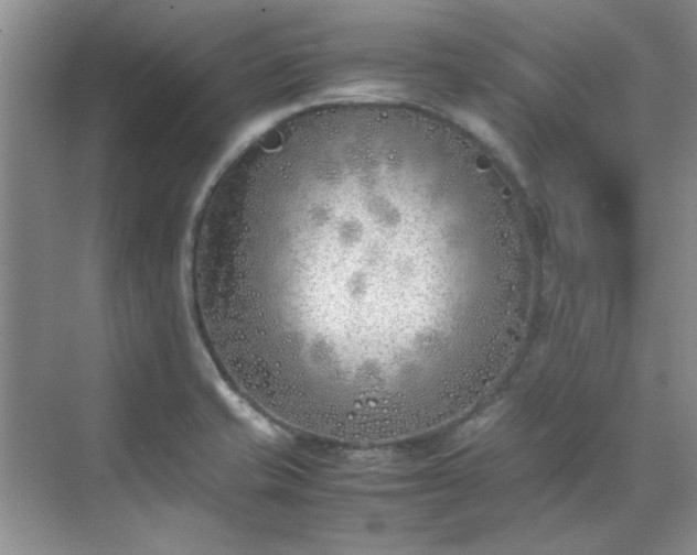 X0000070431421200606161452