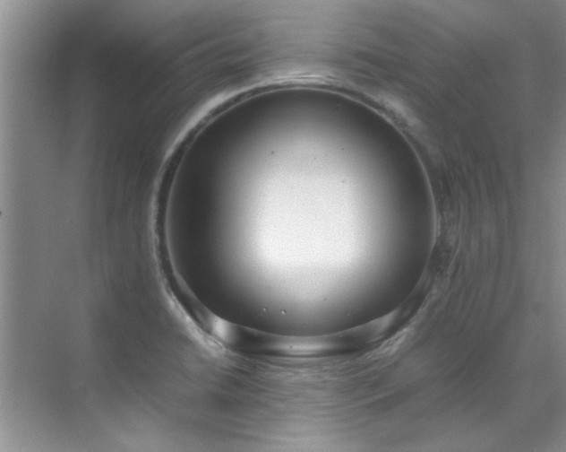 X0000070431422200606161452