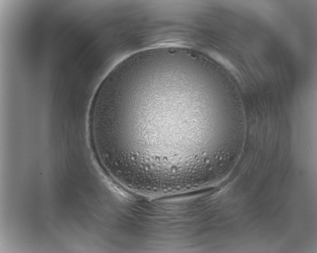 X0000070431423200606161452