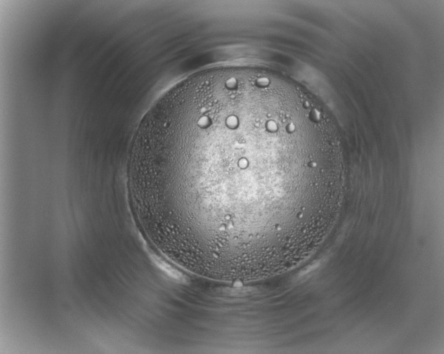 X0000070431425200606161452