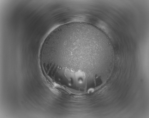 X0000070431427200606161452