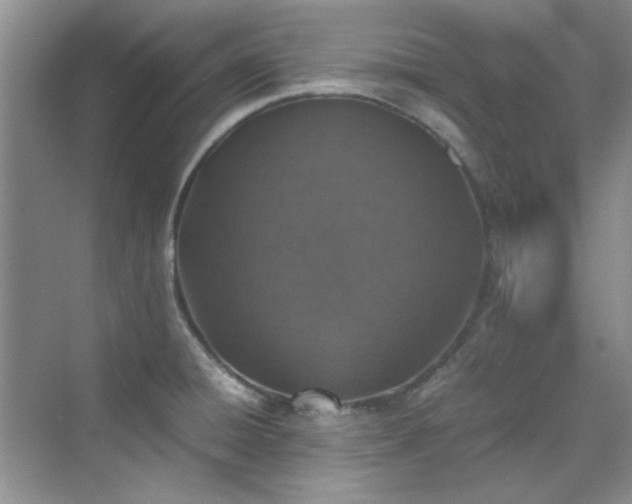 X0000070431428200606161452