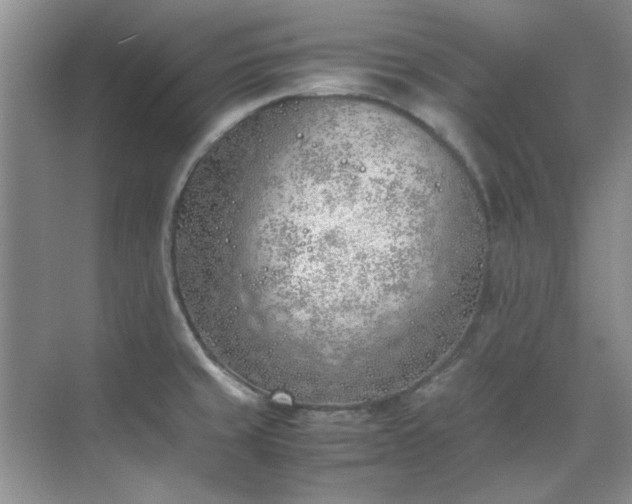 X0000070431429200606161452