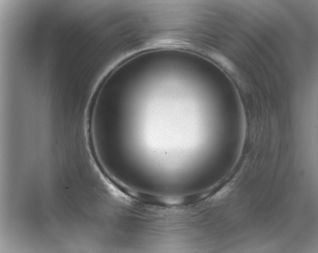 X0000070431430200606161452