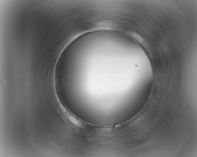 X0000070431431200606161452