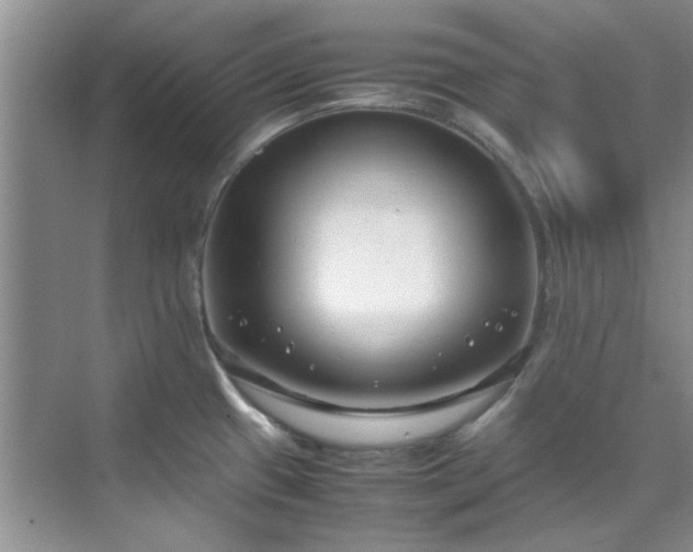 X0000070431433200606161452