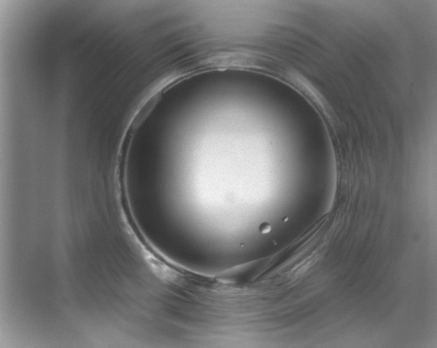 X0000070431434200606161452