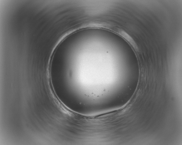 X0000070431436200606161452