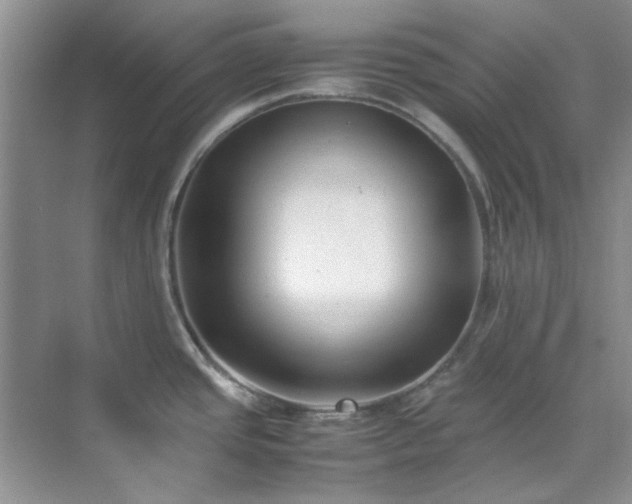 X0000070431437200606161452