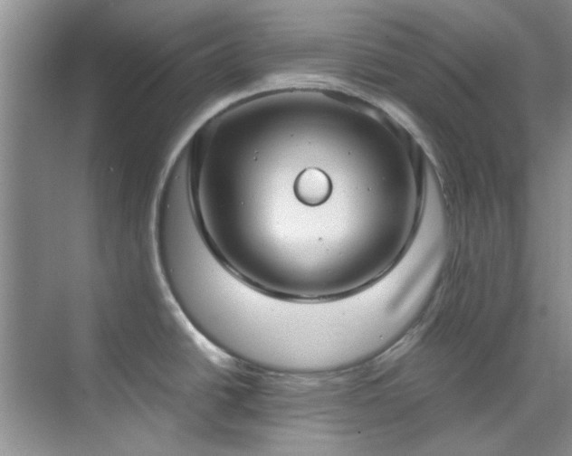 X0000070431438200606161452