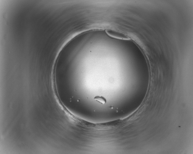 X0000070431440200606161452