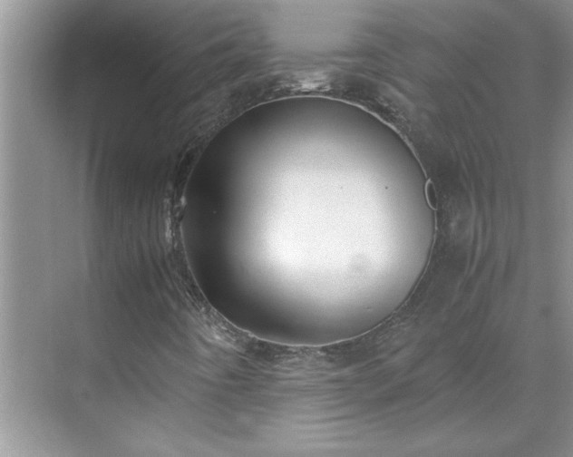 X0000070431442200606161452