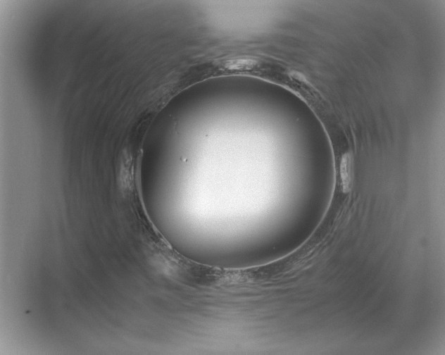 X0000070431443200606161452