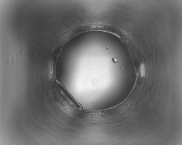 X0000070431444200606161452