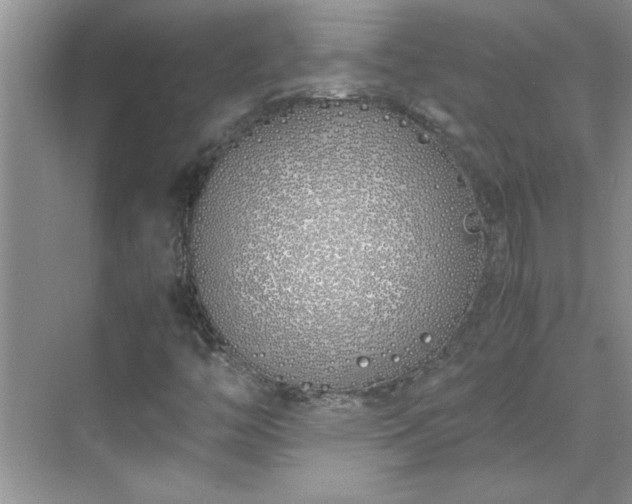 X0000070431446200606161451