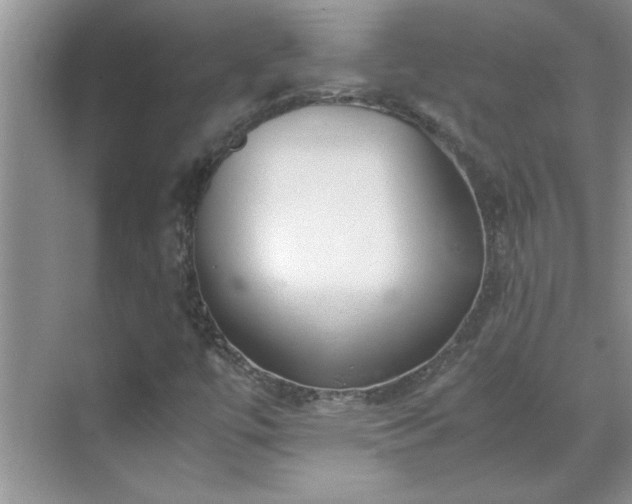 X0000070431447200606161451