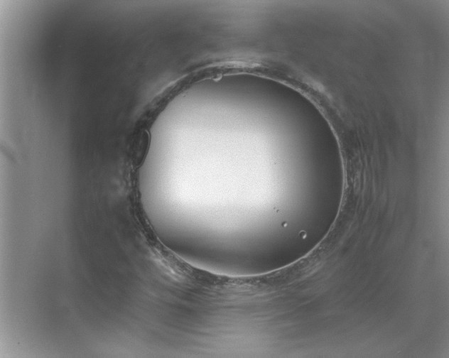 X0000070431448200606161451