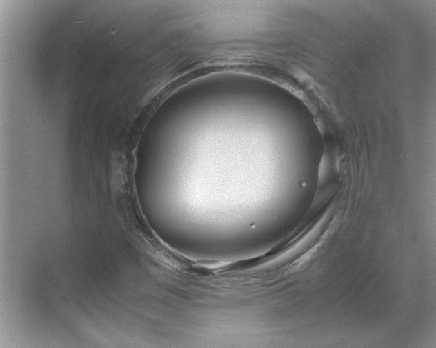 X0000070431449200606161451