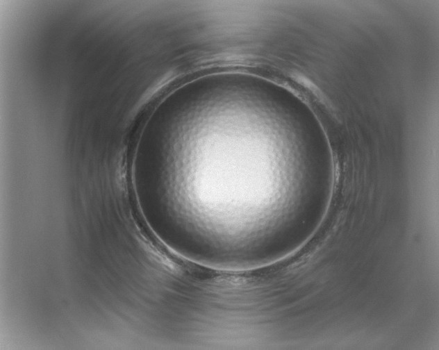 X0000070431450200606161451