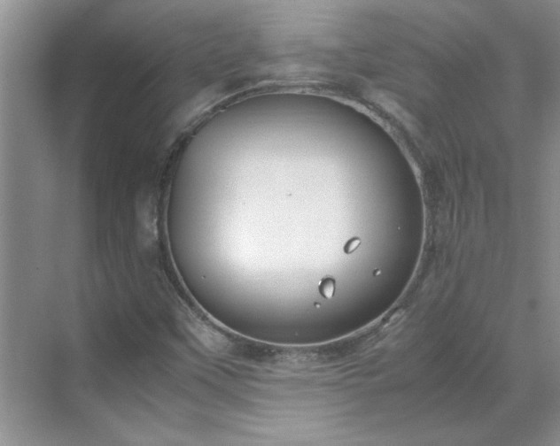 X0000070431451200606161451