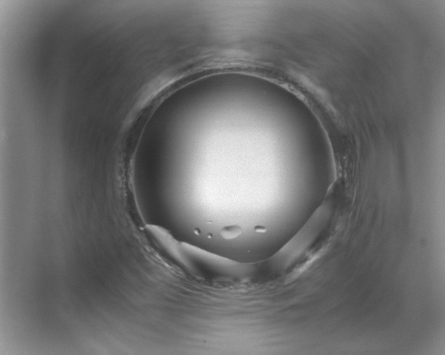 X0000070431453200606161451