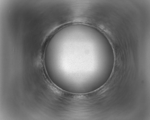 X0000070431454200606161451