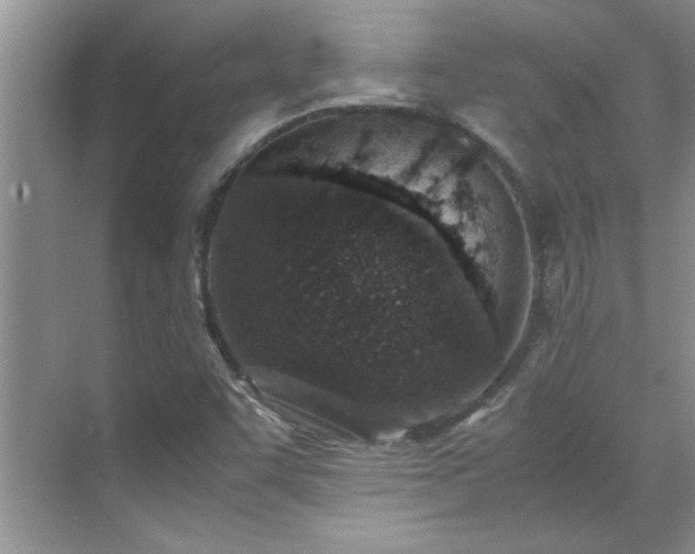 X0000070431455200606161451