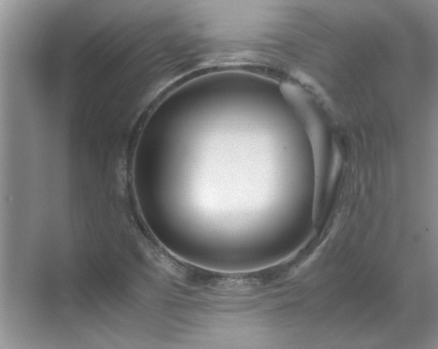 X0000070431457200606161451